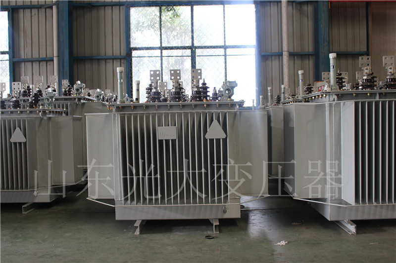 台江S20-500KVA/10KV